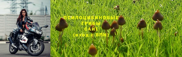 MDMA Premium VHQ Волоколамск