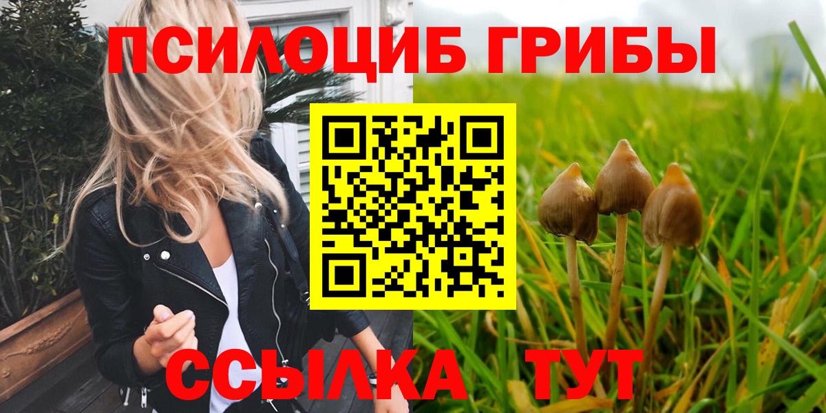 Псилоцибиновые грибы MAGIC MUSHROOMS Петропавловск-Камчатский