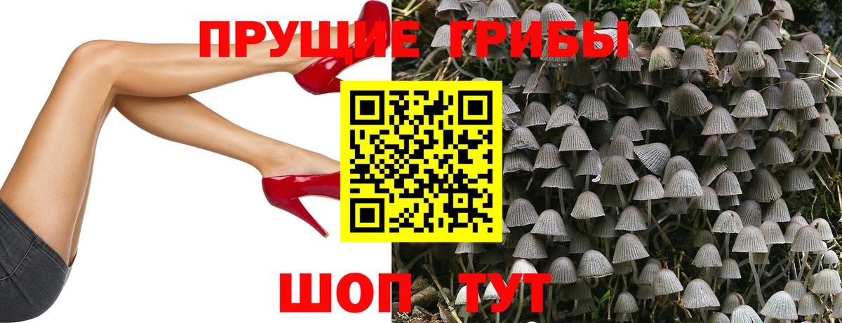 Марихуана  Вход с VPN  Конопля  ЭКСТАЗИ  COCAIN  НБОМе  ГАШ  Петропавловск-Камчатский  Меф   Альфа ПВП СОЛЬ  