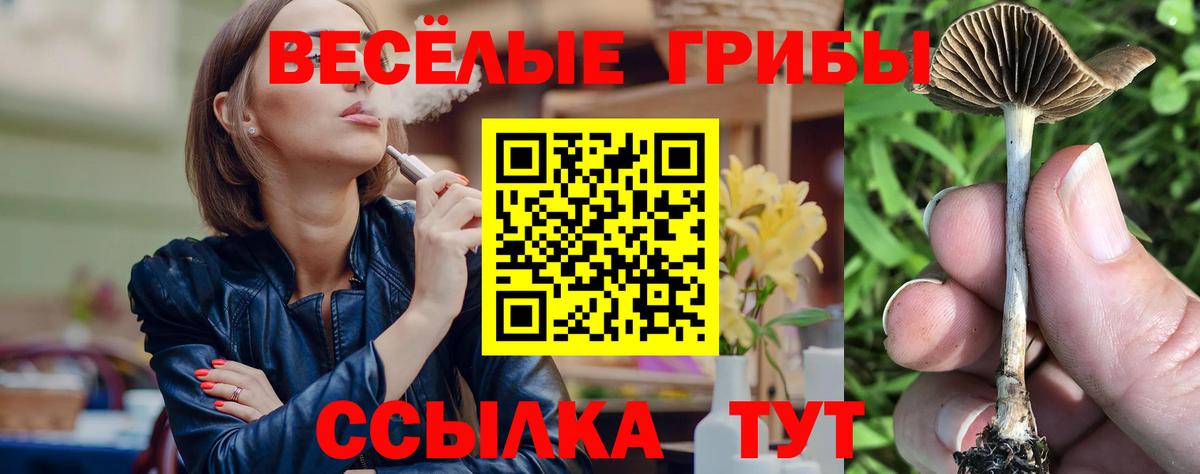 Галлюциногенные грибы прущие грибы  Петропавловск-Камчатский 